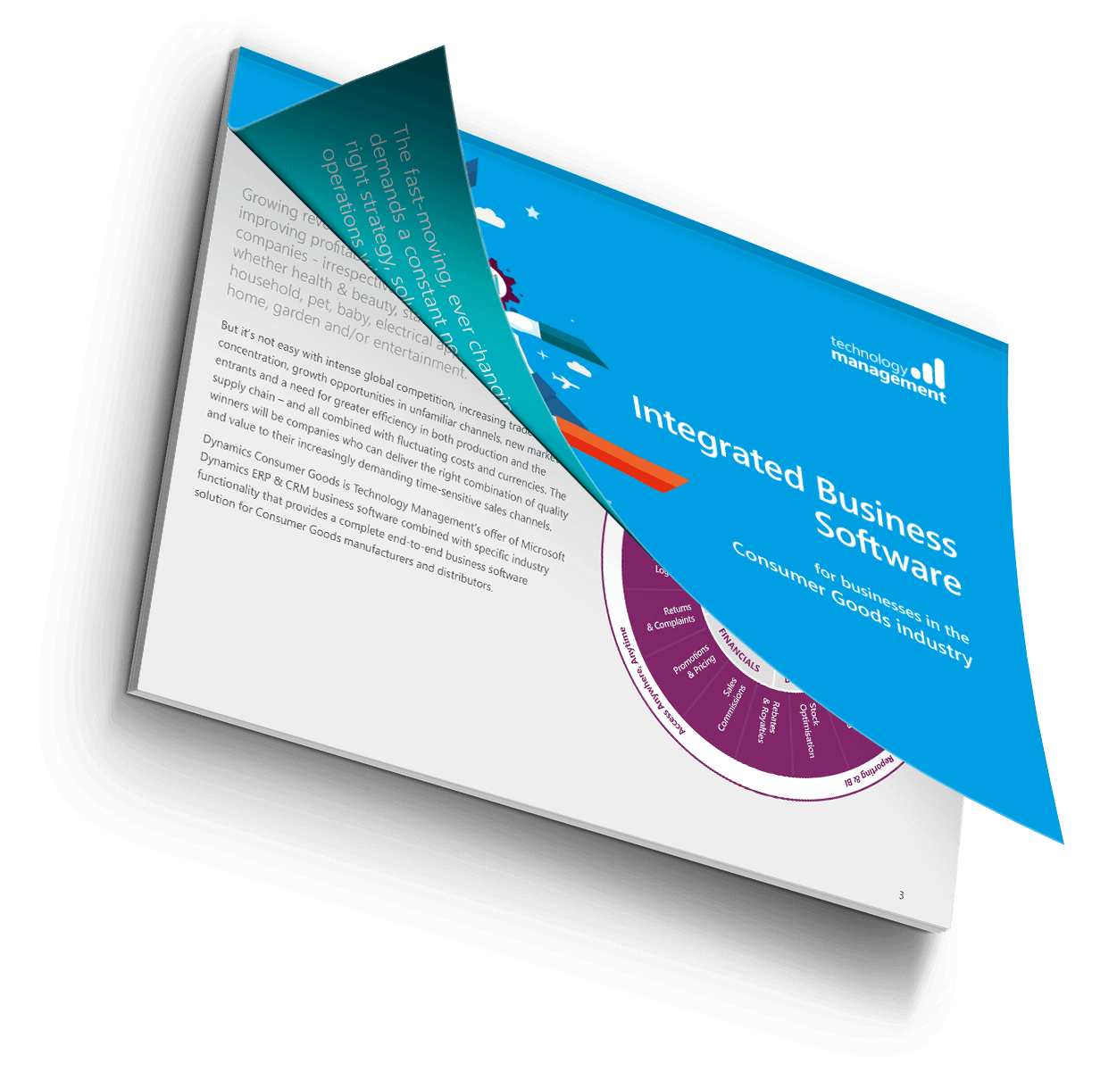  Dynamics Consumer Goods Brochure